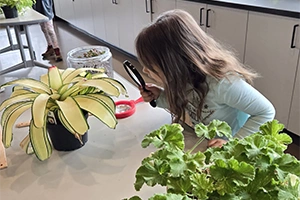 Girl inspecting plant
